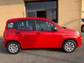 Fiat Panda 1.2 Easy  5 POSTI (NESSUN VINCOLO) Rouge - thumbnail 14