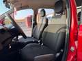 Fiat Panda 1.2 Easy  5 POSTI (NESSUN VINCOLO) Rouge - thumbnail 11