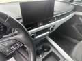 Audi A4 A4 Avant 40 2.0 g-tron Business 170cv s-tronic - thumbnail 13