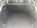 Audi A4 A4 Avant 40 2.0 g-tron Business 170cv s-tronic - thumbnail 12