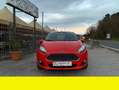 Ford Fiesta 1.5 TDCi 75CV 5 PORTE BUSINESS Rosso - thumbnail 4