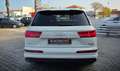 Audi Q7 50 3.0 tdi  Sport Plus Quattro S-Line 7posti Alb - thumbnail 17