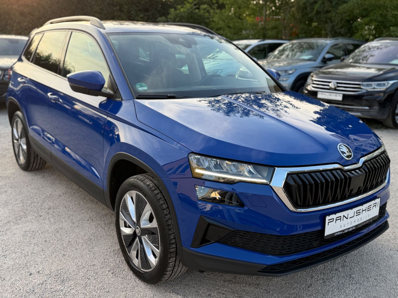 Skoda Karoq DSG Style Kamera AHK ACC Heckklappe Elektr