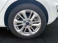 Ford Fiesta Fiesta VII 2022 5p 5p 1.1 Titanium 75cv Weiß - thumbnail 15