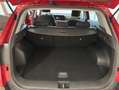 Kia Sportage 5ª serie 1.6 TGDi MHEV Business Rosso - thumbnail 11