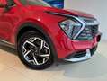 Kia Sportage 5ª serie 1.6 TGDi MHEV Business Rosso - thumbnail 12