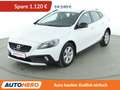 Volvo V40 Cross Country 1.6 D2 You!*NAVI*TEMPO*CAM*PDC*SHZ*ALU* Weiß - thumbnail 1