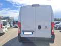 Fiat Ducato FURGONE  PM TA  2.2 140 CV EURO 6 Bílá - thumbnail 6