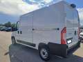Fiat Ducato FURGONE  PM TA  2.2 140 CV EURO 6 Bílá - thumbnail 7