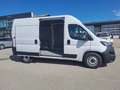Fiat Ducato FURGONE  PM TA  2.2 140 CV EURO 6 Bílá - thumbnail 9