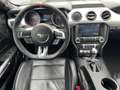 Ford Mustang 5.0 Ti-VCT V8 GT Kompressor Carbon ASCH Grau - thumbnail 14