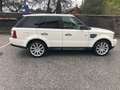 Land Rover Range Rover Sport Range Rover Sport 3,6 TdV8 HSE HSE Weiß - thumbnail 2
