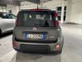 Fiat Panda Panda III 1.0 firefly hybrid Sport s Grijs - thumbnail 7