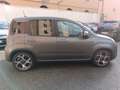 Fiat Panda Panda III 2021 1.0 firefly hybrid Sport s Grau - thumbnail 8