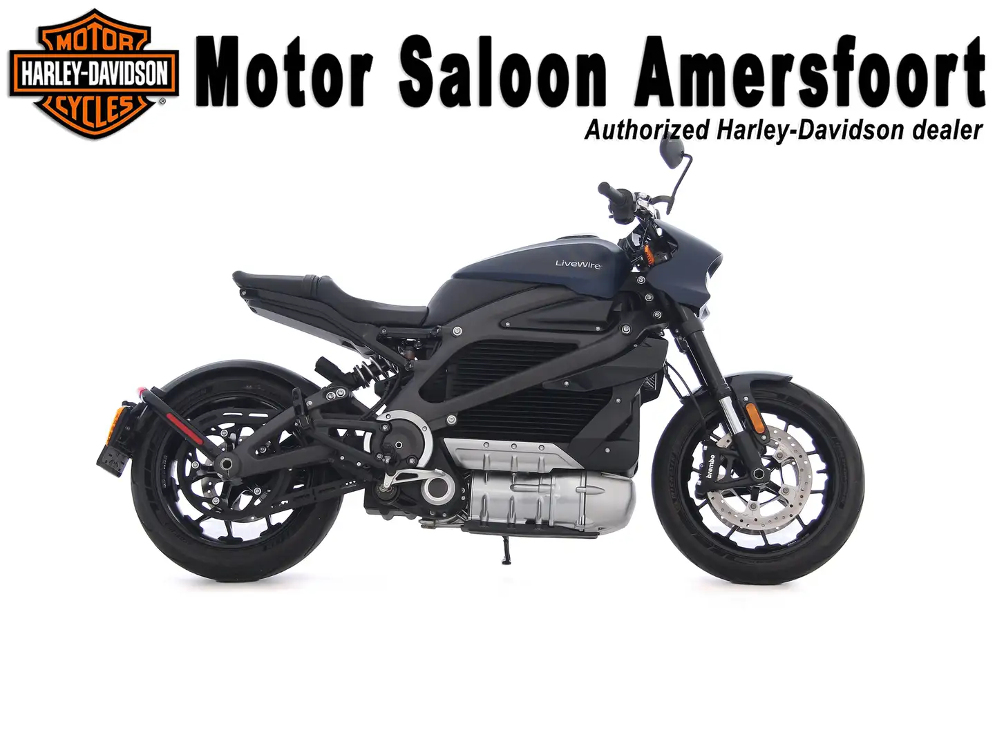 Harley-Davidson LiveWire ELW / LIVE WIRE ONE Blauw - 1
