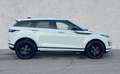 Land Rover Range Rover Evoque SE AWD P300e RDYNAMIC R-DYNAMIC BLACK PACK 20" PDC Bianco - thumbnail 6