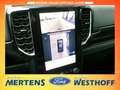 Ford Ranger Limited 4WD Hardtop Techno67 Outdoor2 Grau - thumbnail 12