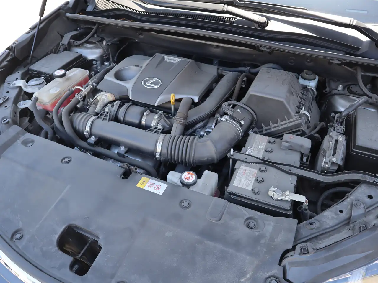 Lexus NX photo Lexus NX