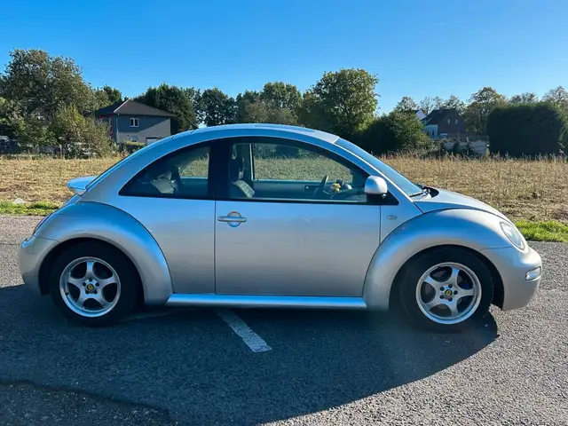 Volkswagen New Beetle view 7