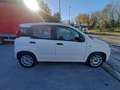 Fiat Panda Panda III 1.0 firefly hybrid s Wit - thumbnail 4