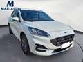 Ford Kuga Kuga 2.5 Plug In Hybrid 225 CV CVT 2WD ST-Line X Blanc - thumbnail 6