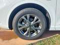 Ford Kuga Kuga 2.5 Plug In Hybrid 225 CV CVT 2WD ST-Line X Blanc - thumbnail 7