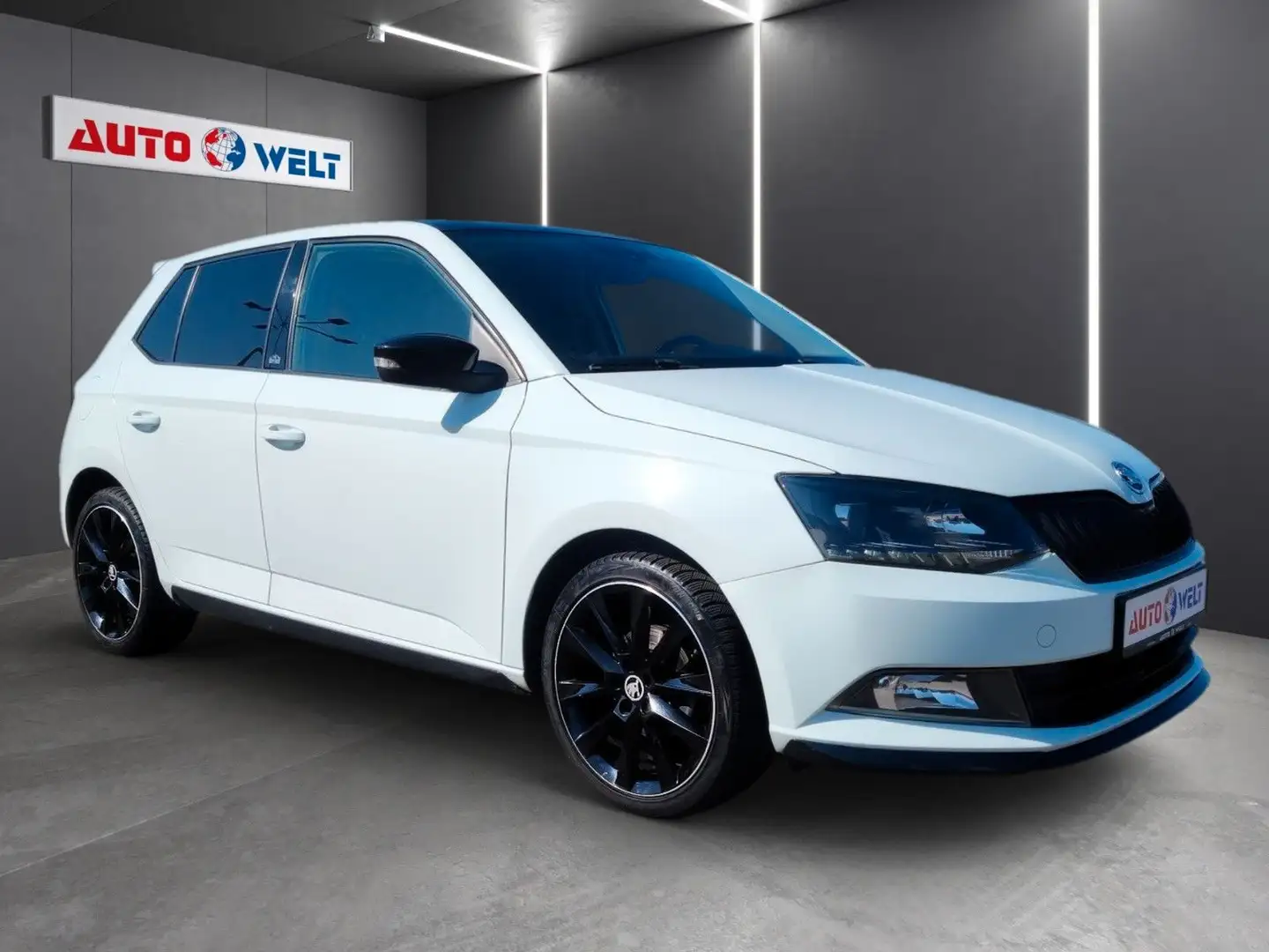 Skoda Fabia 1.2TSI Monte Carlo Klimaat. Tempo Sitzhzg Blanc - 2