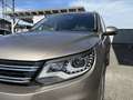 Volkswagen Tiguan 1,4 TSI Karat BMT *1.BESITZ*AHK*SITZH*TEMP*XENON* Beige - thumbnail 4