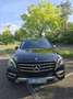 Mercedes-Benz ML 250 ML 250 CDI BlueTec (166.004) Schwarz - thumbnail 1