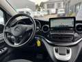 Mercedes-Benz V 300 V -Klasse V300d EDITION kompakt/Navi+/ACC/Kamera Gris - thumbnail 11