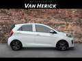 Kia Picanto 1.0 CVVT DynamicLine | 5 Deurs | LM velgen | Bianco - thumbnail 3