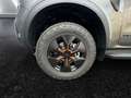 Ford Ranger DoKa Wildtrak PHEV e-4WD **inkl. Rollo** Grau - thumbnail 22