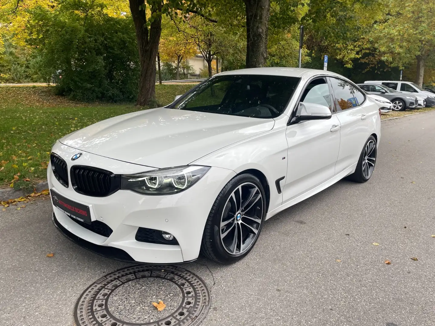 BMW 320 d GT M Sport*Nav*Kam*Shadow*HeadUp*LED* Weiß - 1