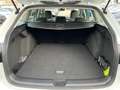 Volkswagen Golf Variant 2,0 TDI Style DSG| Harman & Kardon Weiß - thumbnail 15