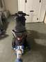Piaggio Medley 150 abs - thumbnail 5