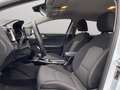 Kia Ceed SW / cee'd SW cee'd sw Plug-in-Hybrid Vision Klimaaut LED TOP Blanc - thumbnail 8