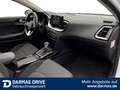 Kia Ceed SW / cee'd SW cee'd sw Plug-in-Hybrid Vision Klimaaut LED TOP Alb - thumbnail 13