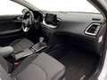 Kia Ceed SW / cee'd SW cee'd sw Plug-in-Hybrid Vision Klimaaut LED TOP Blanc - thumbnail 13