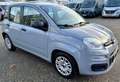 Fiat Panda Base Grau - thumbnail 1