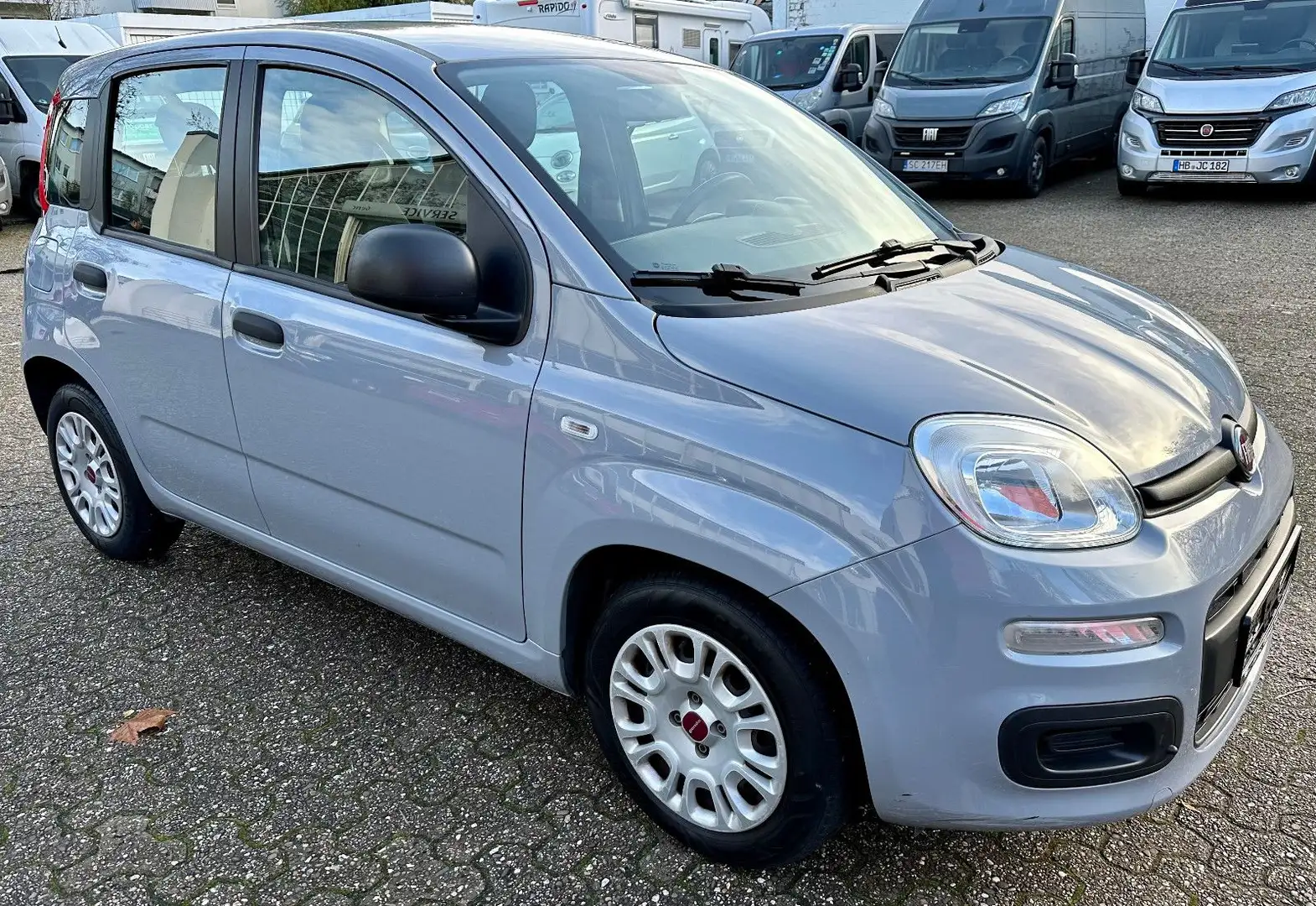 Fiat Panda Base Grau - 1