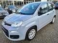 Fiat Panda Base Grau - thumbnail 3