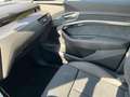 Audi Q8 e-tron 50 S line quattro Mega-Voll %%% Grau - thumbnail 19