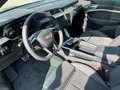 Audi Q8 e-tron 50 S line quattro Mega-Voll %%% Grau - thumbnail 14