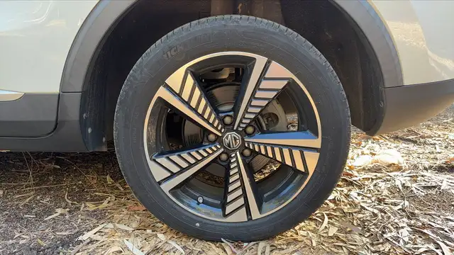 MG ZS view 19