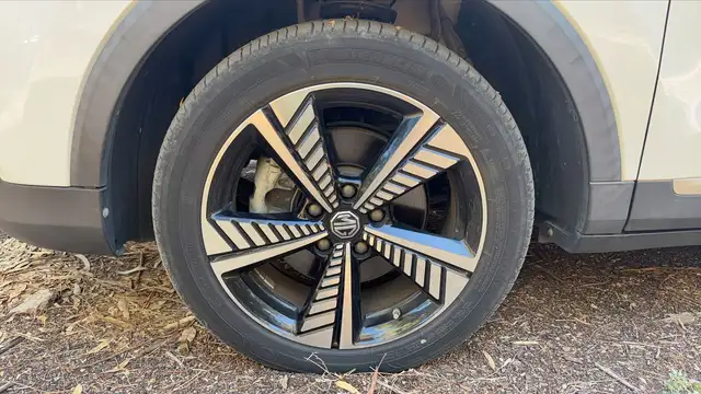 MG ZS view 18