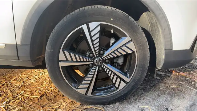 MG ZS view 17