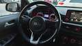 Kia Picanto 1.0 12V EcoGPL 5 porte Style *PROMO AZZURRA* Gris - thumbnail 20