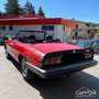 Alfa Romeo Spider 1.6 Rouge - thumbnail 4