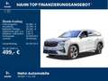 Skoda Kodiaq RS 2,0TSI 265PS DSG 4x4 ACC Navi Pano StH Grau - thumbnail 2