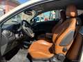 Alfa Romeo MiTo 1.6 JTDm 16V 120CV Bianco - thumbnail 7